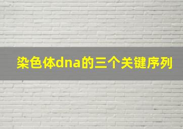 染色体dna的三个关键序列