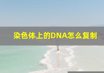 染色体上的DNA怎么复制