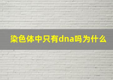 染色体中只有dna吗为什么