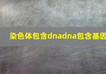 染色体包含dnadna包含基因