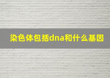 染色体包括dna和什么基因