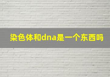 染色体和dna是一个东西吗