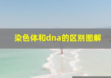 染色体和dna的区别图解