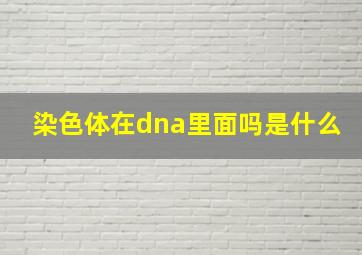 染色体在dna里面吗是什么