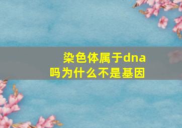 染色体属于dna吗为什么不是基因