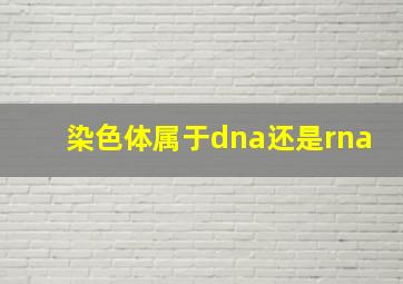 染色体属于dna还是rna