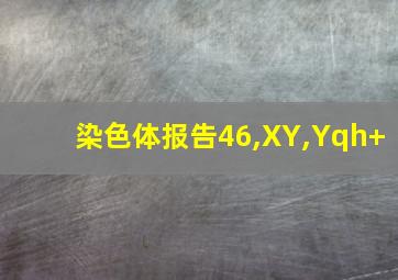 染色体报告46,XY,Yqh+