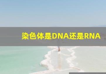 染色体是DNA还是RNA