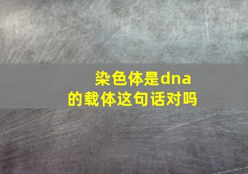 染色体是dna的载体这句话对吗