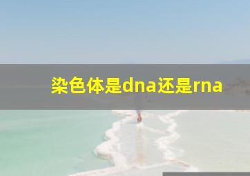 染色体是dna还是rna