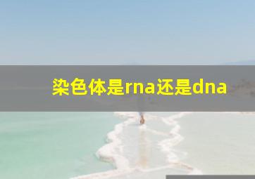 染色体是rna还是dna