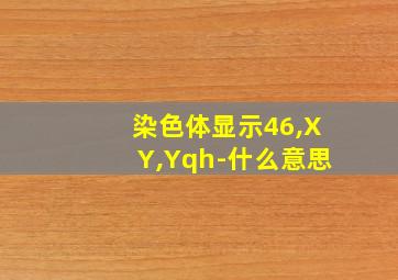 染色体显示46,XY,Yqh-什么意思