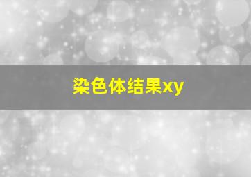 染色体结果xy