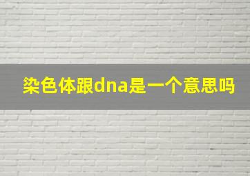 染色体跟dna是一个意思吗