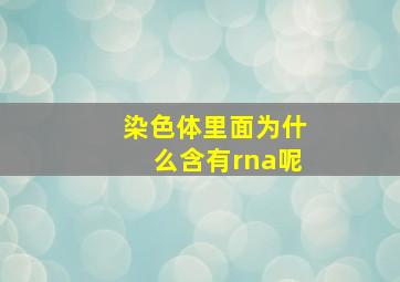 染色体里面为什么含有rna呢