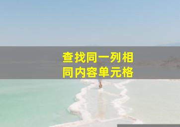 查找同一列相同内容单元格