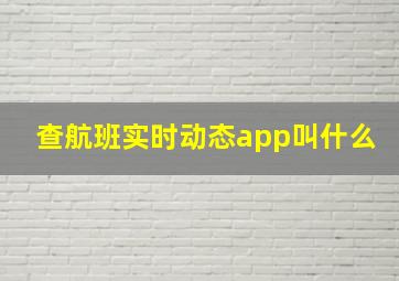 查航班实时动态app叫什么