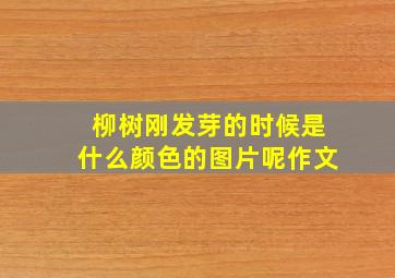 柳树刚发芽的时候是什么颜色的图片呢作文