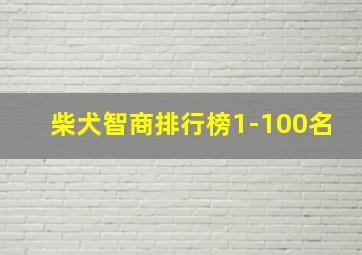 柴犬智商排行榜1-100名