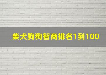 柴犬狗狗智商排名1到100