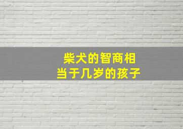 柴犬的智商相当于几岁的孩子