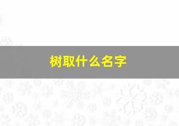 树取什么名字