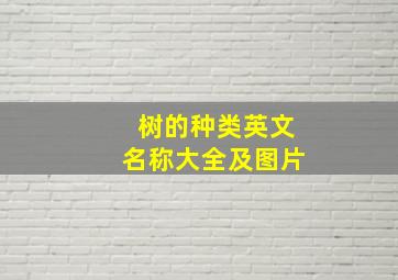 树的种类英文名称大全及图片