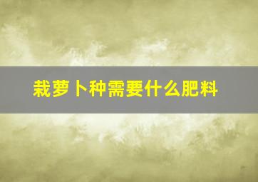 栽萝卜种需要什么肥料