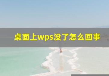 桌面上wps没了怎么回事