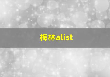 梅林alist