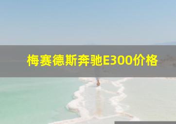 梅赛德斯奔驰E300价格