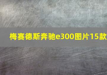 梅赛德斯奔驰e300图片15款