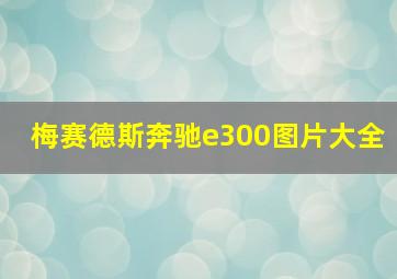 梅赛德斯奔驰e300图片大全