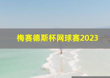 梅赛德斯杯网球赛2023