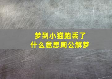 梦到小猫跑丢了什么意思周公解梦