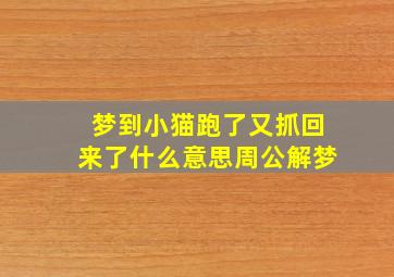 梦到小猫跑了又抓回来了什么意思周公解梦