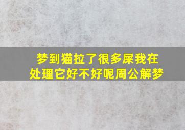 梦到猫拉了很多屎我在处理它好不好呢周公解梦