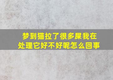 梦到猫拉了很多屎我在处理它好不好呢怎么回事