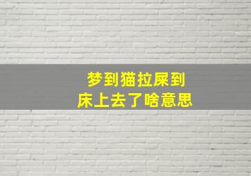 梦到猫拉屎到床上去了啥意思