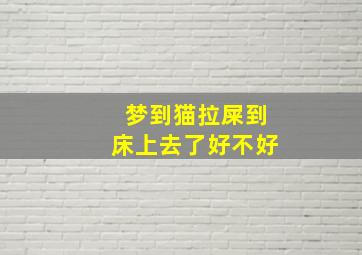 梦到猫拉屎到床上去了好不好