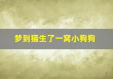 梦到猫生了一窝小狗狗