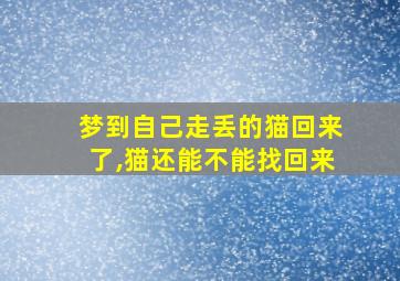 梦到自己走丢的猫回来了,猫还能不能找回来