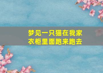 梦见一只猫在我家衣柜里面跑来跑去