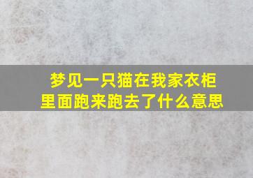 梦见一只猫在我家衣柜里面跑来跑去了什么意思