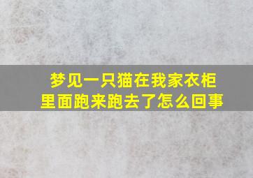 梦见一只猫在我家衣柜里面跑来跑去了怎么回事