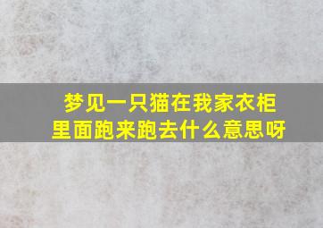 梦见一只猫在我家衣柜里面跑来跑去什么意思呀