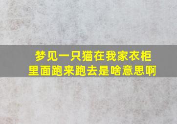 梦见一只猫在我家衣柜里面跑来跑去是啥意思啊