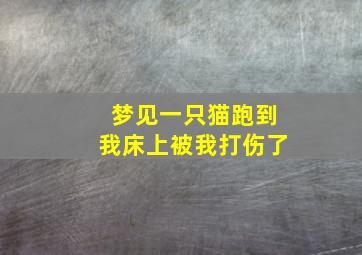 梦见一只猫跑到我床上被我打伤了