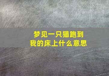 梦见一只猫跑到我的床上什么意思