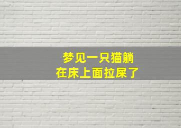 梦见一只猫躺在床上面拉屎了